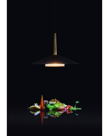 ORION * COLGANTE LED NEGRO/CUERO  1L*8W 3000K